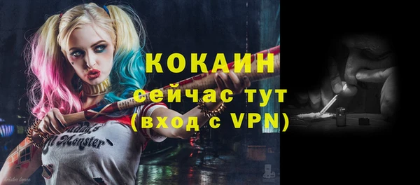 мяу мяу мука Арсеньев