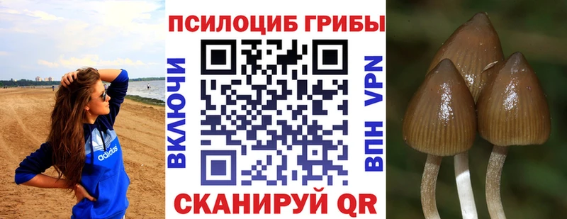Псилоцибиновые грибы прущие грибы  Купить закладки  Сортавала 